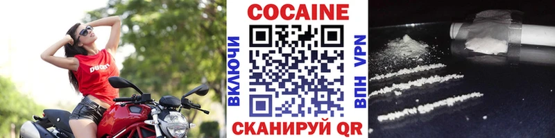 Купить закладки  Светлоград  COCAIN Fish Scale 