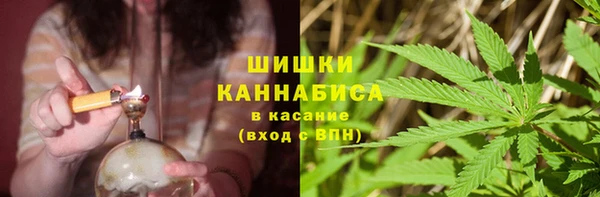гидропоника Богородицк