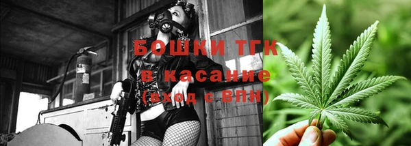 гидропоника Богородицк