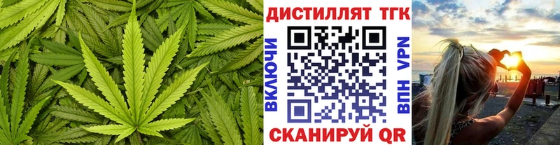 Купить  Светлоград  ТГК гашишное масло 